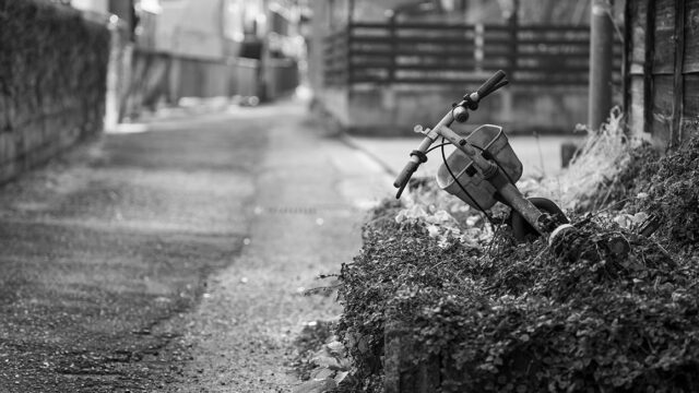 2026年度 真鶴 photo walk （1～3月）